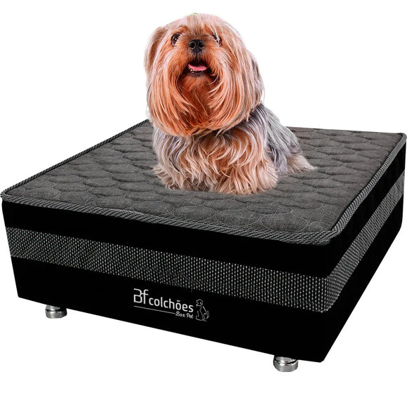 Cama Box para Pet (60x60x24) + Lençol